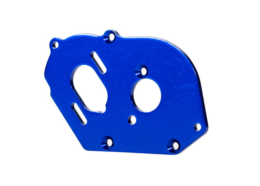 Blue Aluminum Motor Plate Part Number:  9490