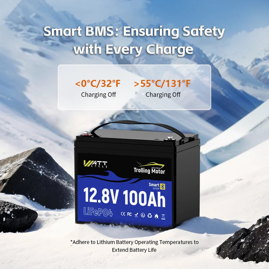 WattCycle 12V 100Ah Group 24 LiFePO4 Battery with Bluetooth for Trolling Motors