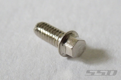 SSD RC 2x5mm Scale Hex Bolts (Silver) (20)