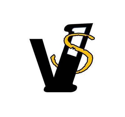 V1S - RC Addict