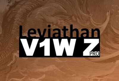 V1W Z-Pro - RC Addict